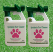 Eliminate Pet Odor from Synthetic Turf — Fast, Safe, and Effective
